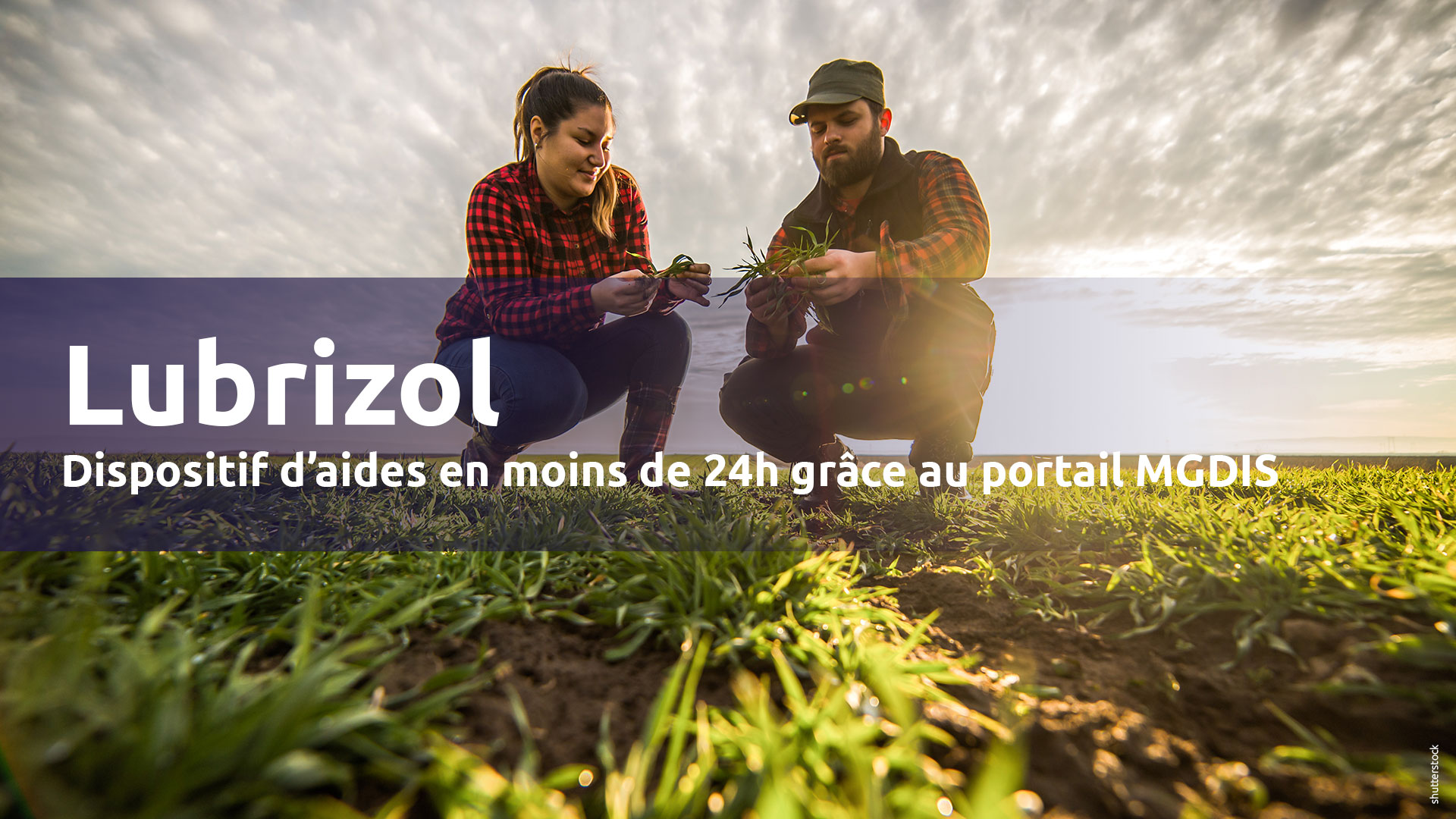 Lubrizol-dispositif-aides-agriculteurs-MGDIS