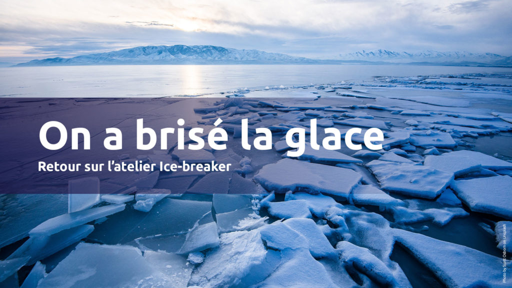 retour-sur-atelier-Icebreaker-MGDIS