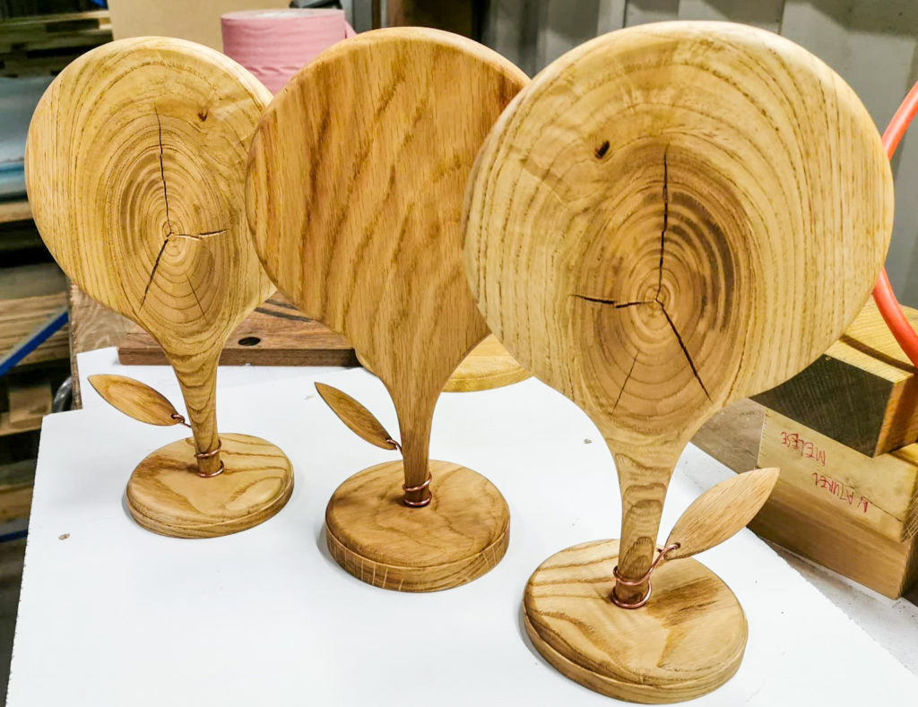 Trophées-create for the planet-2019-mgdis
