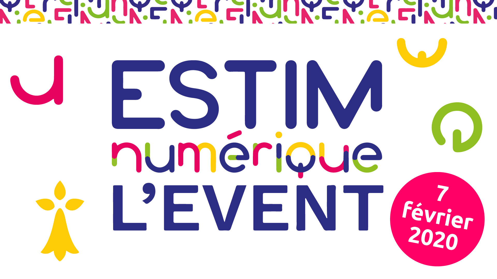 EstimNumeriQUE-2020-MGDIS