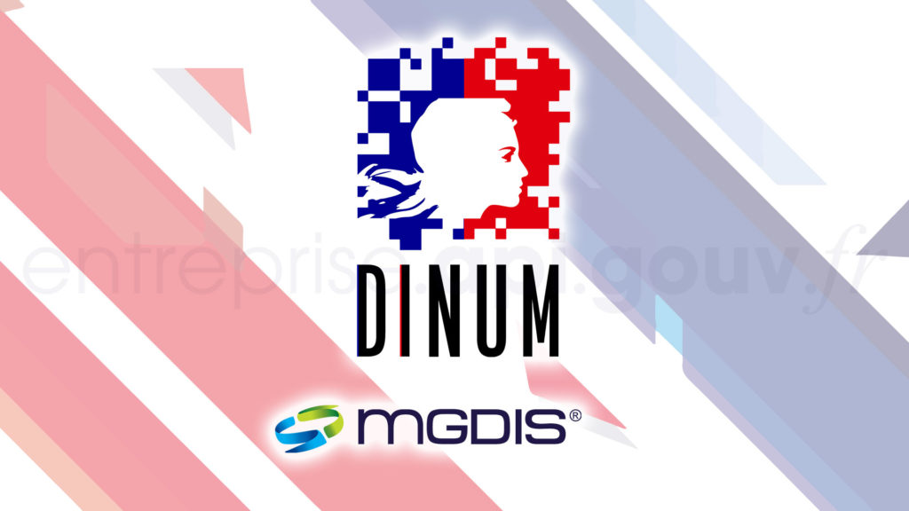 API Entreprise de la DINUM dans le logiciel MGDIS Portail des Aides