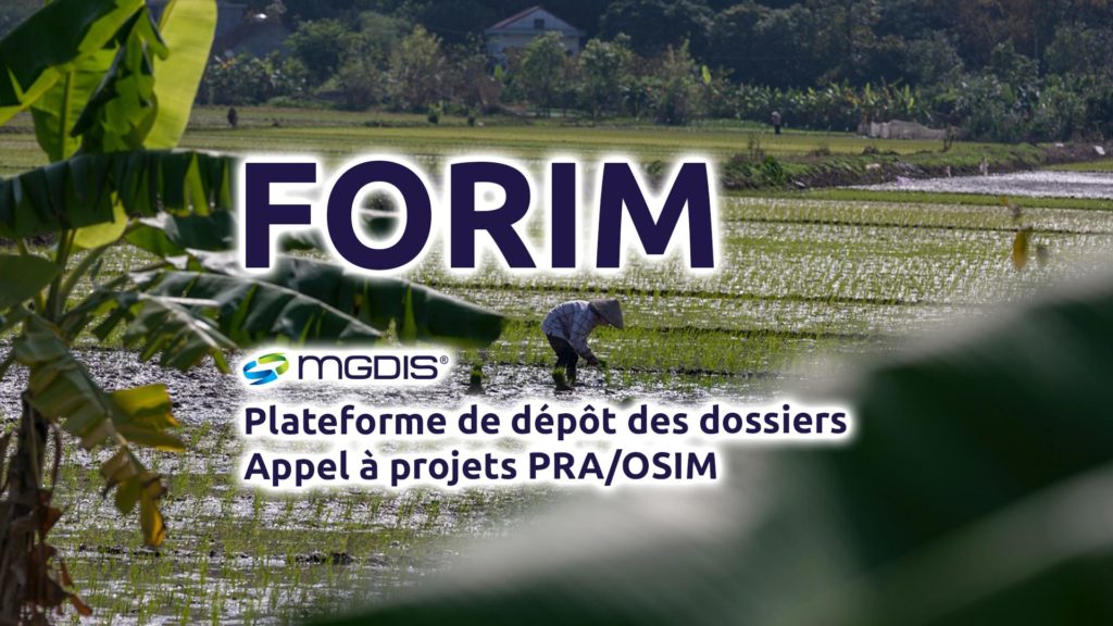 FORIM-MGDIS-2021