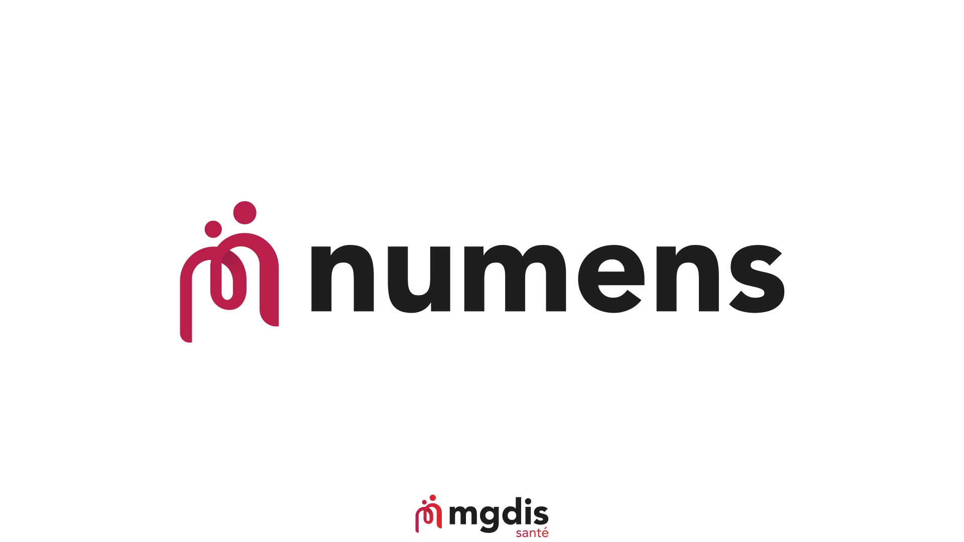 Solutions MGDIS - NUMENS