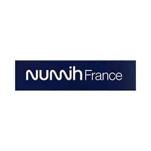 Logo partenaire MGDIS NUMIH 300x300