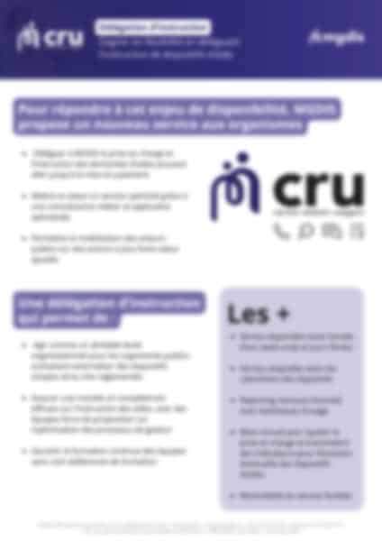 Fiche service DU Delagation Instruction MGDIS flou
